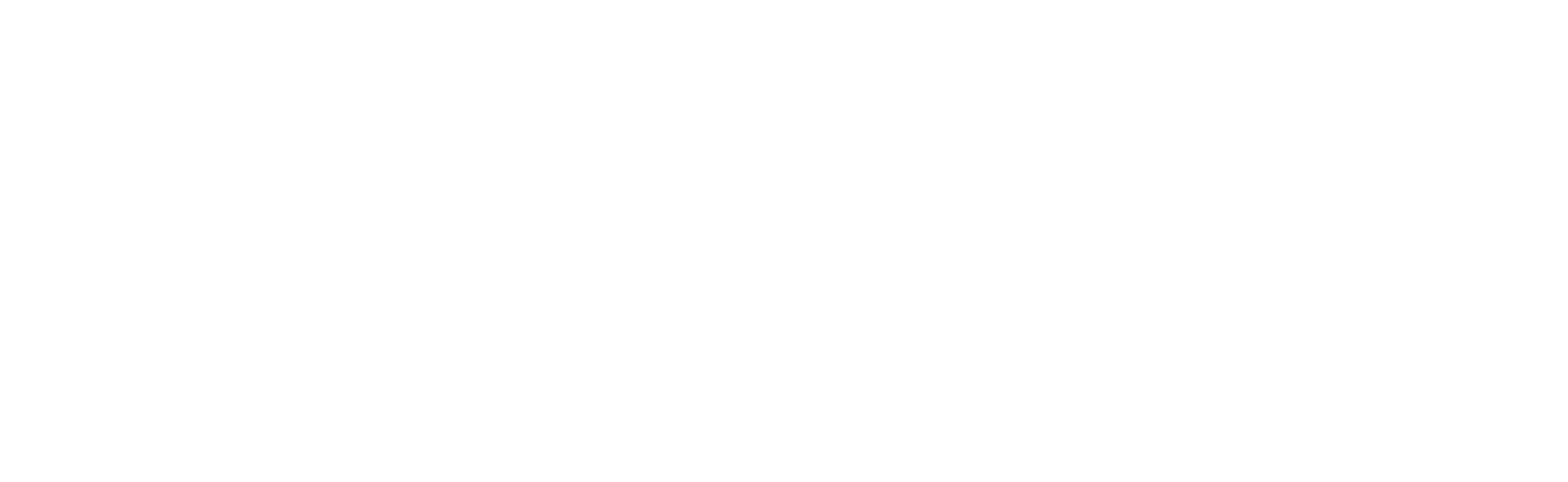 SN Logo_Stacked_Brandmark KO_White.png